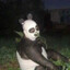 CursedPanda