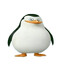 BOT PG