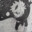 Kawaki