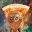 spacecatsandpizza