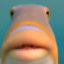 ryguy11iscool