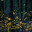 duck_lord avatar