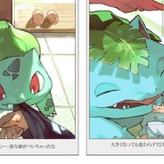 采菇凉的小蘑菇