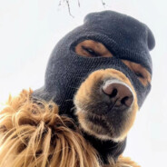 南城的鸡肉土豆盖