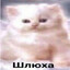 XBN