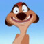 Timon