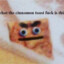Piece of Toast