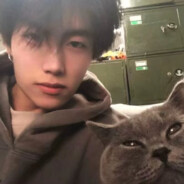 芝士忘了怎么退后