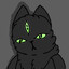 Shade the weird cat