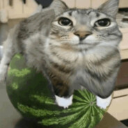 meloncat