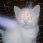 no thoughts just fun