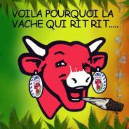 Trés veille ami revient