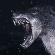 Wolfy341