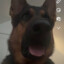 panchojrnc