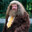 Hagrid's Avatar