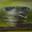 dima_golubkin2010