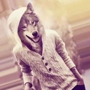 volk