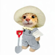 帅气逼人小学生