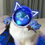 ฅ^•ﻌ•^ฅ
