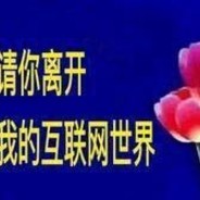 请你离开我的互联网世界