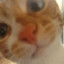 supercatruffles