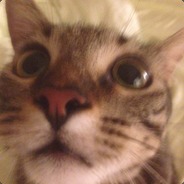 B U T T E R S - steam id 76561197964455330