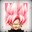 Redrockstar00 avatar