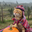 Shaman katt