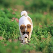 从此烟雨落京城