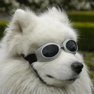 怂吧被绿不说话