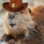 CowboyBebby
