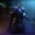 Corvus_Corax
