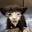 qeqoqeq Steam avatar