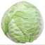 cabbage