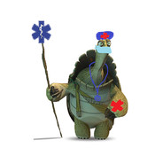 Darryn Oogway