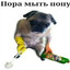 AHAЛЬHAЯ ЖAЛOCTЬ