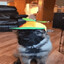 propeller hat for dog