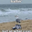 BrittleBacon_64