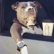 Big Avatar