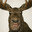 moose