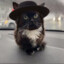 Внук КотАна