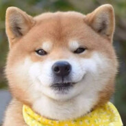 有情的帅铨一号