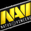 Na`Vi starix /S1mple/