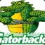 Gatorback