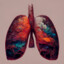 pulmones