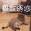 猛男永不认怂