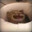 Yoghurt