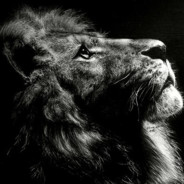 分手为何带走锅