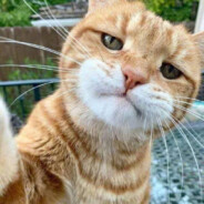 早睡早起身体好