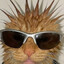 Money on my SHADES